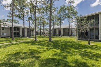 Enclave At Lake Ellenor