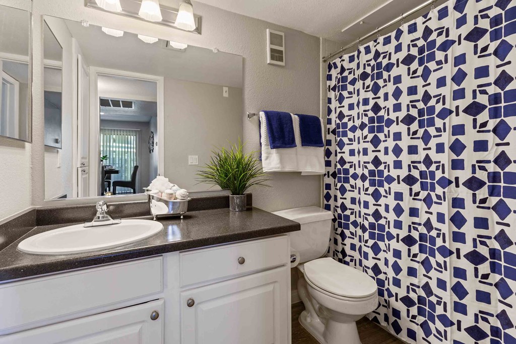 Updated Bathroom Finishes