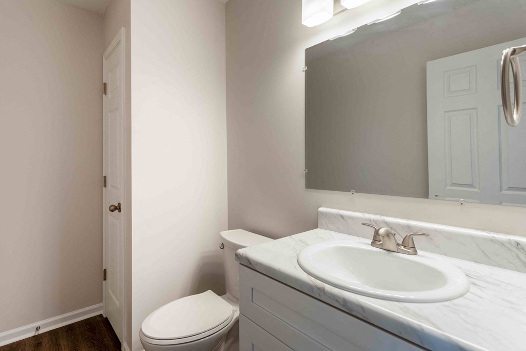 a bathroom with a sink and a toilet and a mirror
