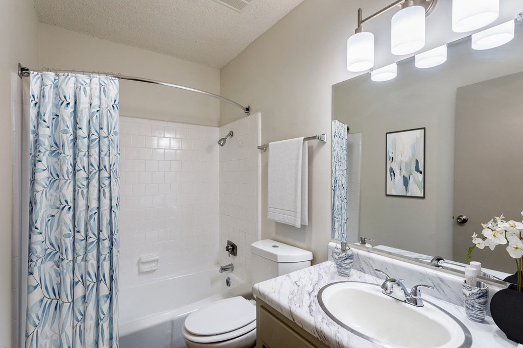 a bathroom with a sink and a toilet and a shower