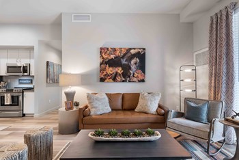 Living Room - Photo Gallery 5