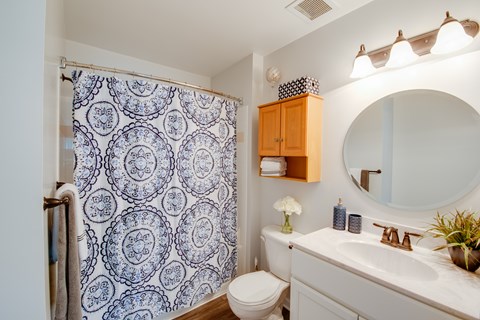A bathroom with a blue and white shower curtain.