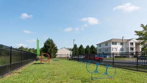 A playground with a green slide and a red circle in the middle of the grass.