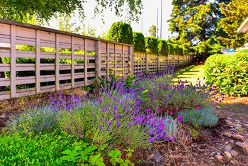 beautiful landscaping - Photo Gallery 3