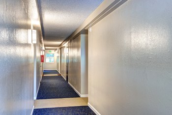 building hallway - Photo Gallery 6