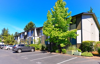 parking lot - Photo Gallery 4