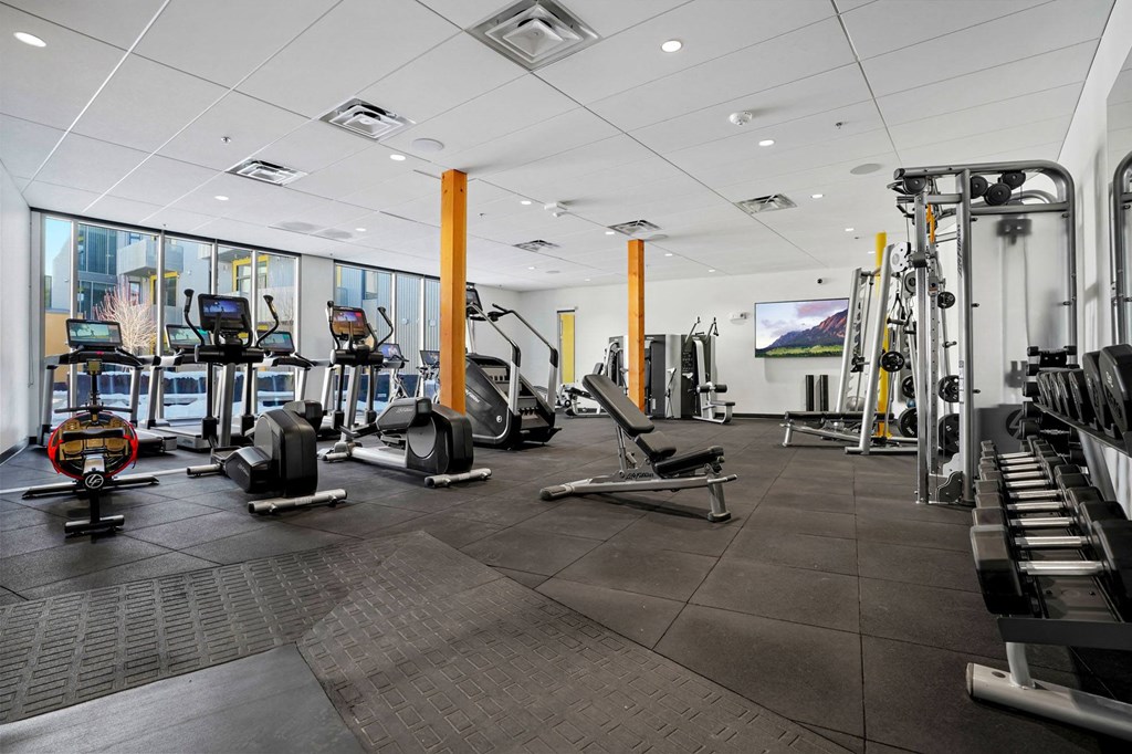 a large fitness room with treadmills and other exercise equipment
