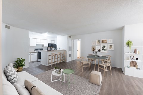A living room with a white couch and a grey rug.
