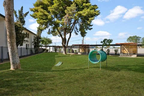 Leash-free dog park with fenced area and seating at Sentry Tempe apartments in Tempe near Mesa, Arizona
