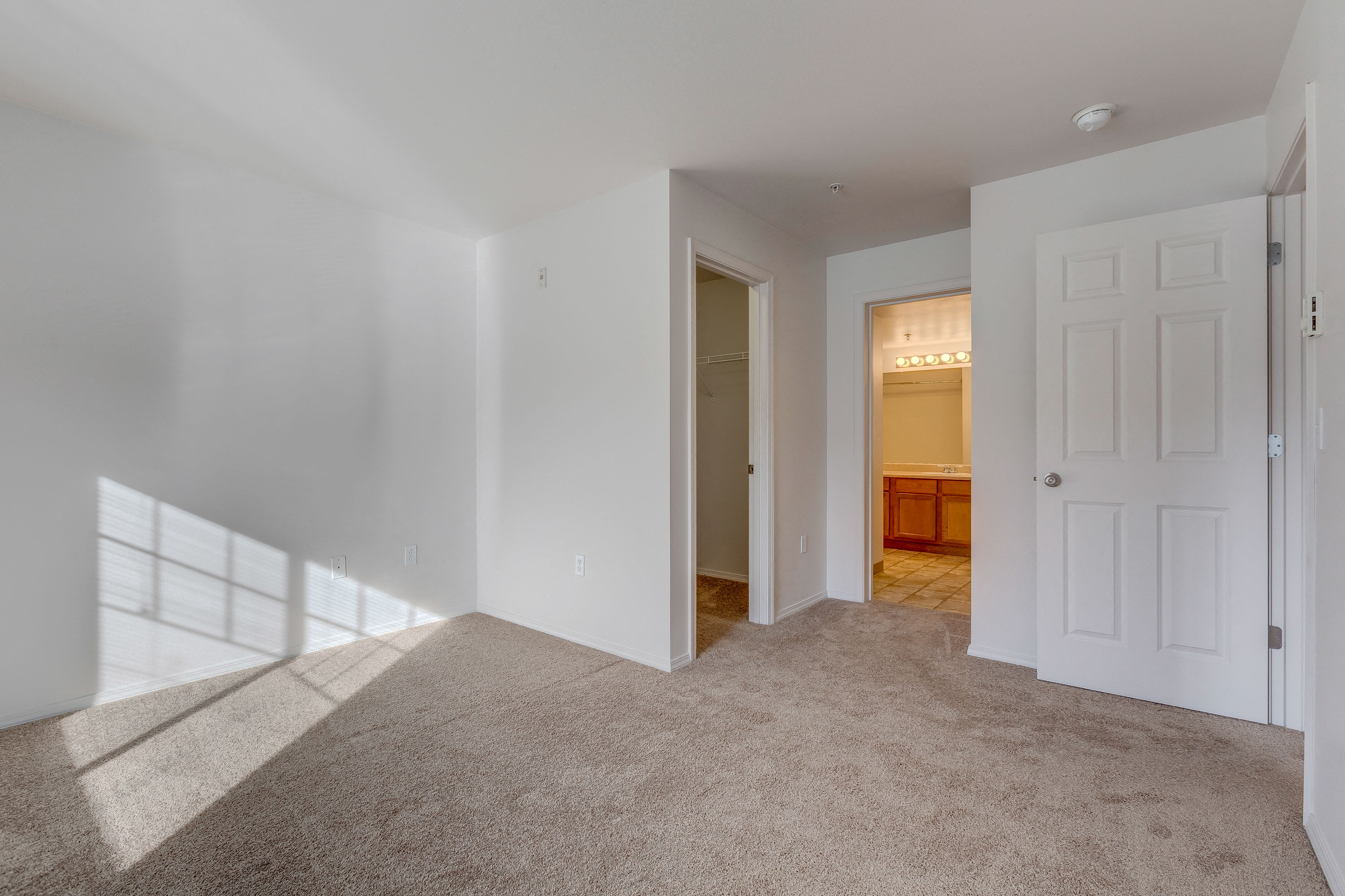lots of natural light in apartment