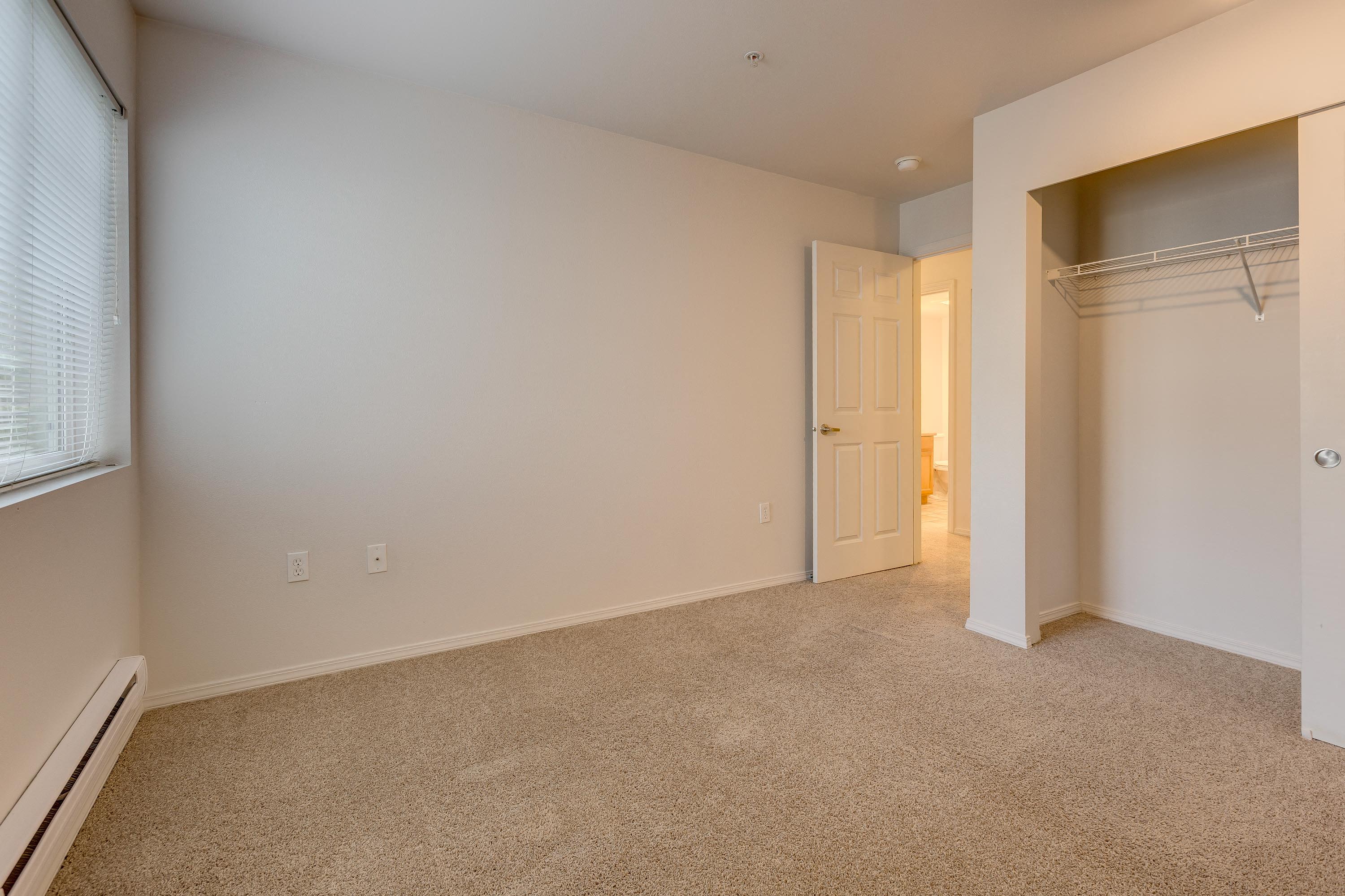 lots of natural light in apartment