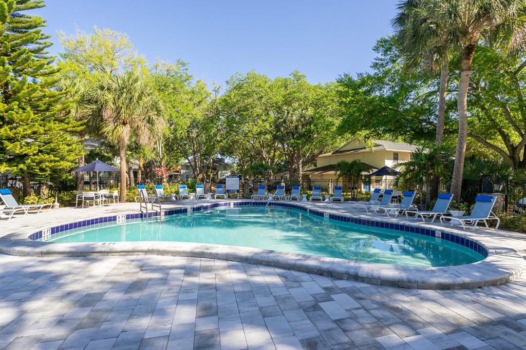 Sherwood Oaks apartments in riverview florida photo of a swimming pool with chaise lounge chairs and trees in the background