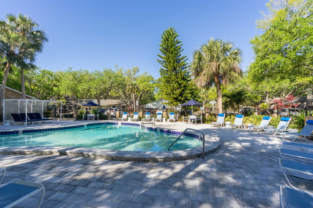 Sherwood Oaks apartments in riverview florida photo of a pool with lounge chairs and trees in the background