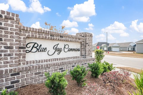 Blue Jay Commons Homes in Rincon, GA photo of monument sign