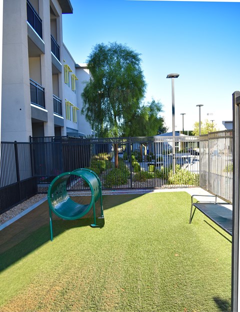A playground with a green slide and a bench.