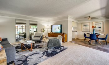 Living room - Photo Gallery 5