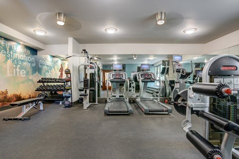 A gym with treadmills, weights, and exercise machines.