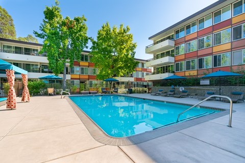 A swimming pool surrounded by trees and chairs with a building in the background.
