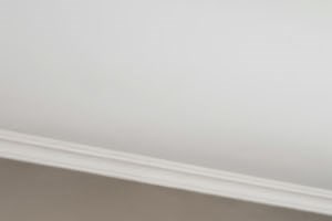 Lots of natural light in apartment Lots of natural light in apartment - Photo Gallery 3
