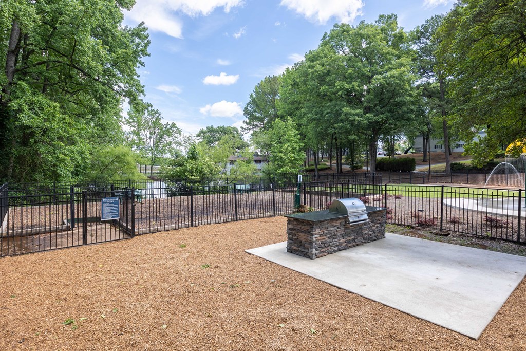 Outdoor grilling area at Somerset Apartments, a pet-friendly community near Charlotte and Huntersville, NC, perfect for gatherings and cookouts.