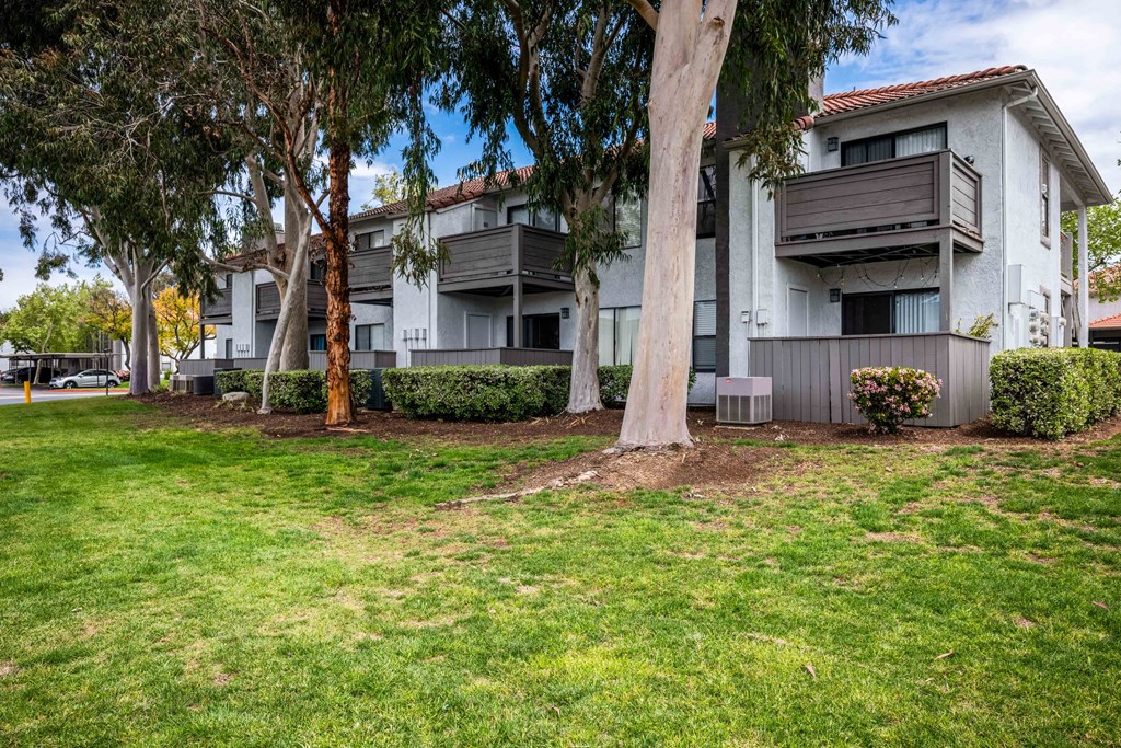 our apartments are located in the heart of a city