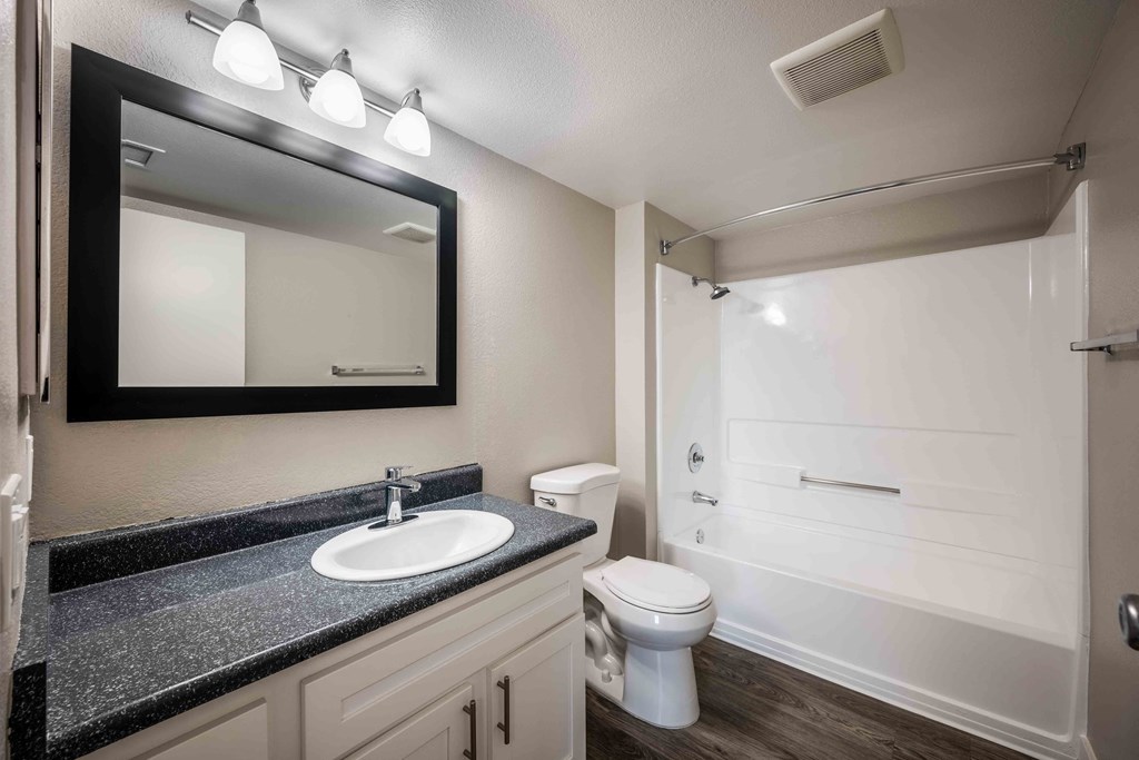 a bathroom with a sink and a toilet and a mirror