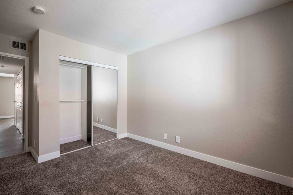 a living room with carpet and a door to a closet