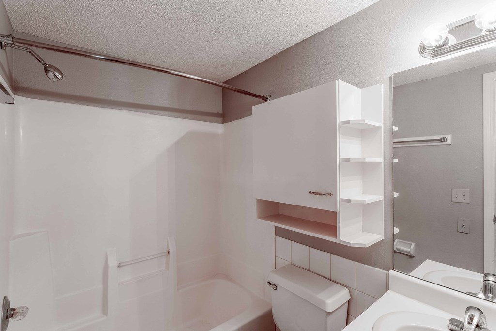 a bathroom with a toilet and a sink and a mirror