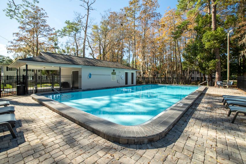 Square One Apartments in Gainesville, FL photo of sparkling swimming pool - Photo Gallery