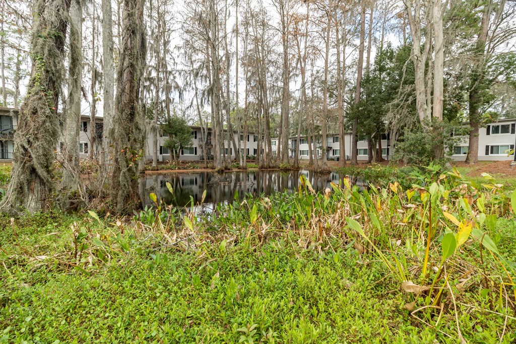 Square One Apartments in Gainesville, FL photo of pond