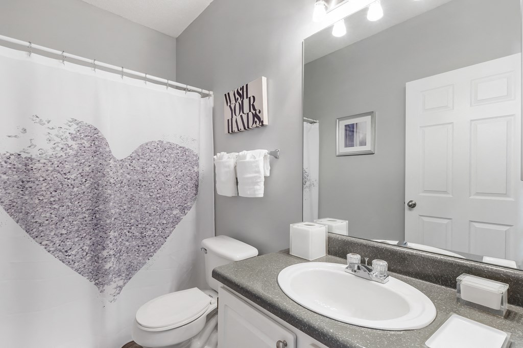 St. Ives Crossing apartments in Stockbridge Georgia photo of bathroom with lots of light