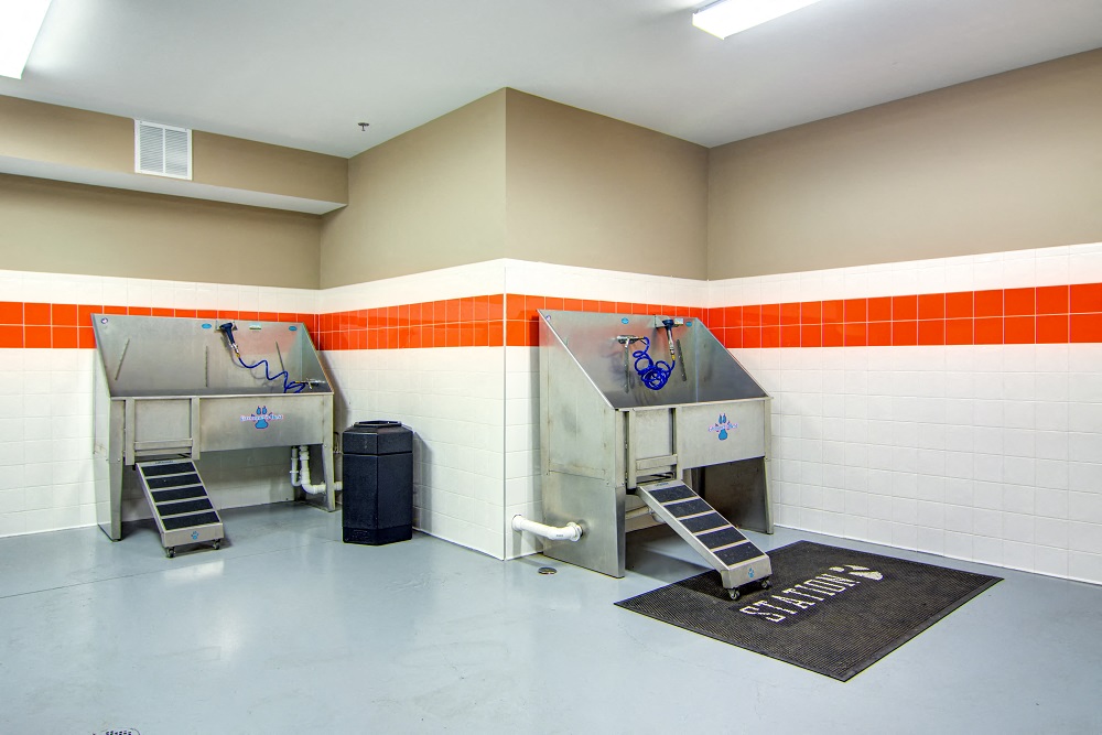 Station R Apartments in Atlanta GA photo of Pet Spa for Your Four-Legged Roommates