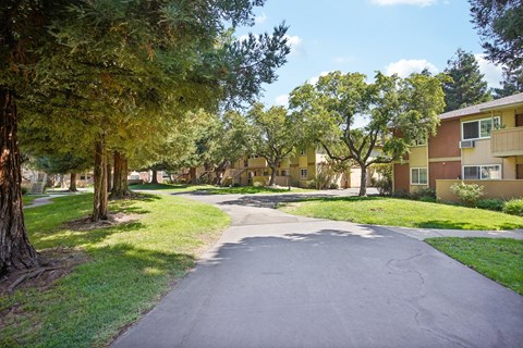 Apartments Near Lake Elizabeth - Lincoln Glen - An exterior shot of a tree-lined street between two apartment buildings with trees