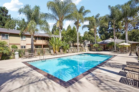 Apartments Near Fremont Central Park - Lincoln Glen - An exterior shot of the resort-style pool, featuring palm trees, umbrellas, and pool chairs