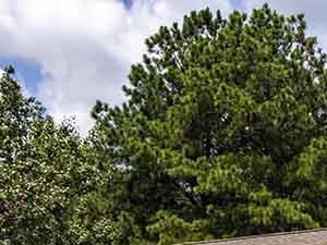 Garages Available Garages Available - Photo Gallery 5