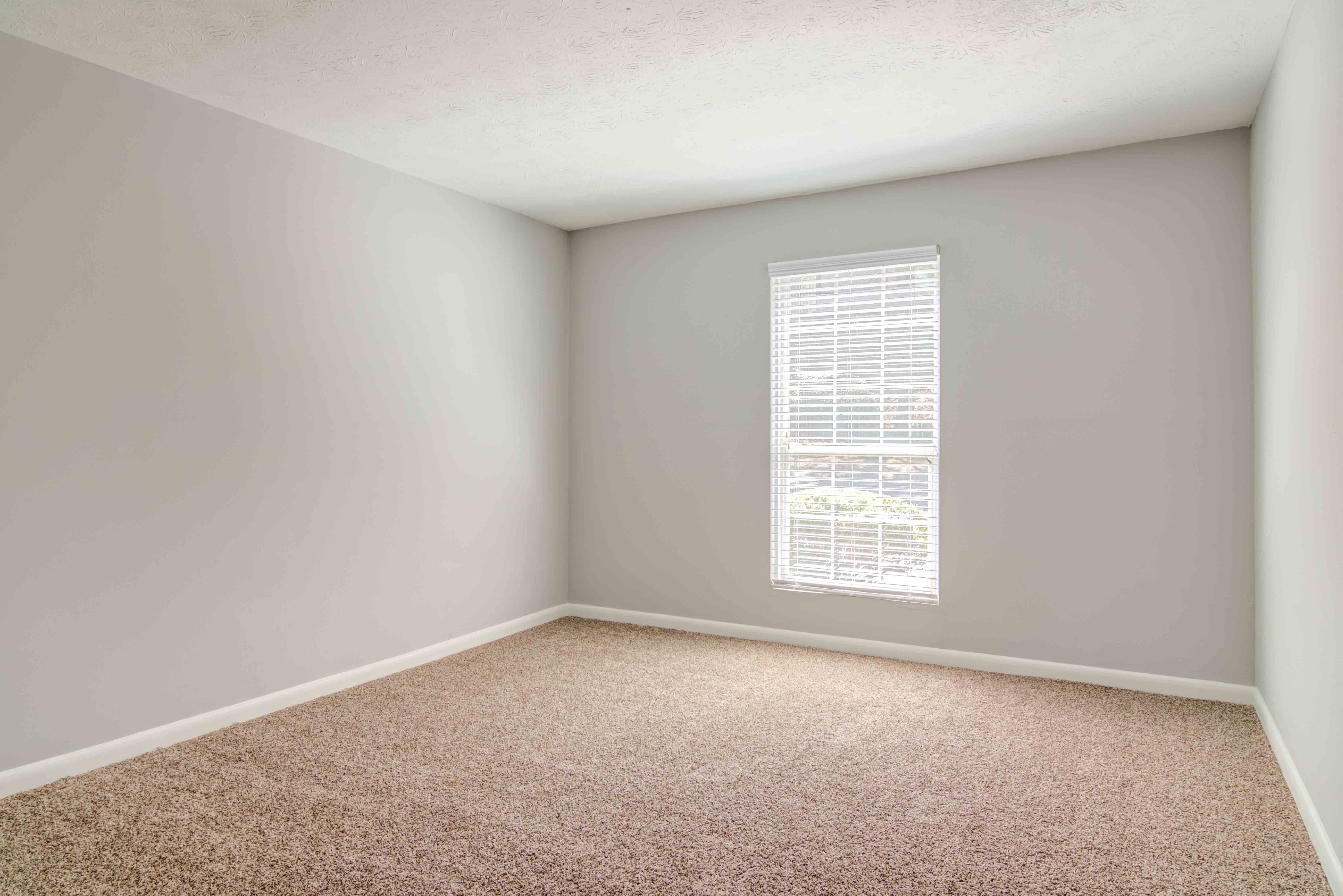 lots of natural light in apartment