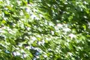 Stratford Ridge Apartments, 2560 Delk Rd SE, Marietta, GA - RentCafe