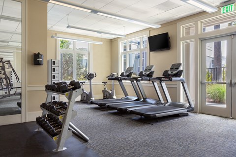 A gym with treadmills, weights, and a television.