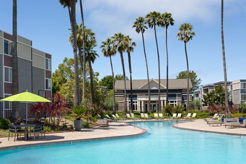 A pool surrounded by palm trees and lounge chairs.