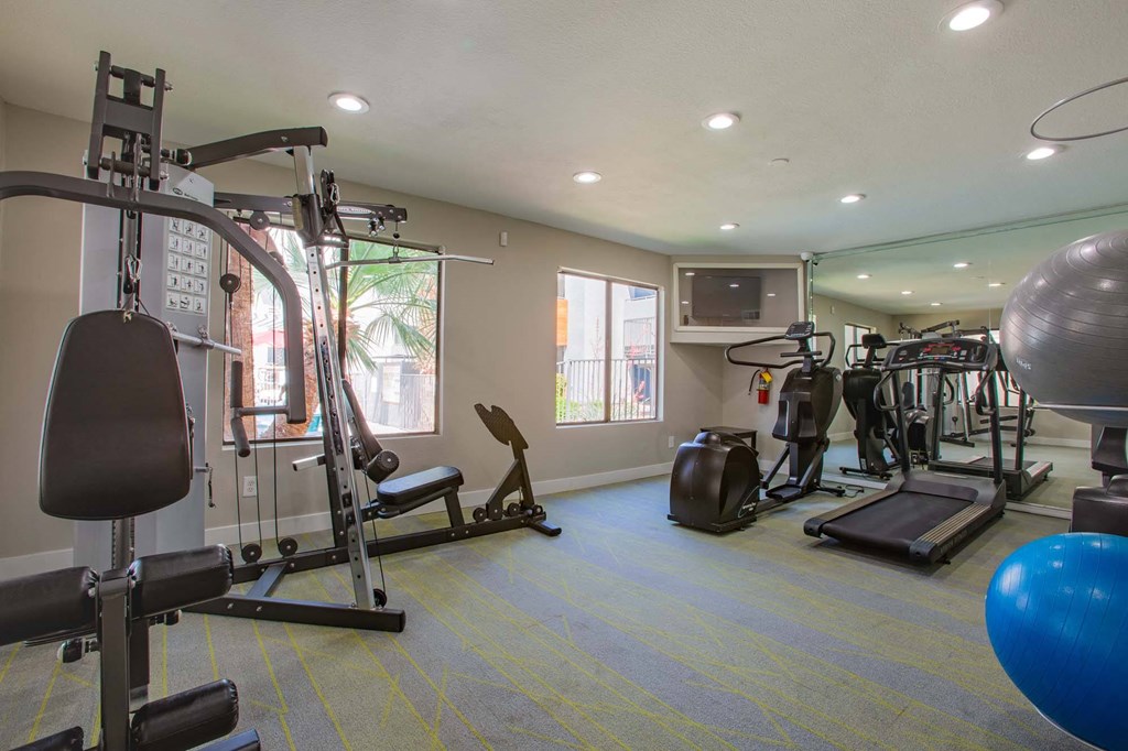 the gym is stocked with equipment for residents to use