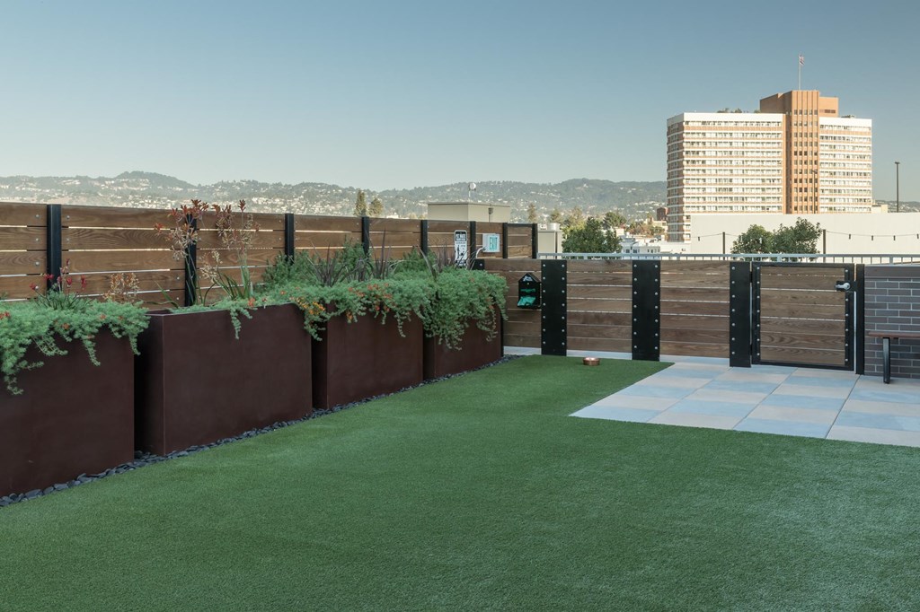 a backyard with artificial turf and a city skyline in the background
