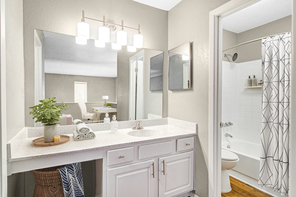 Affinitee at Stone Mountain Apartments photo of a bathroom with a large mirror and a sink