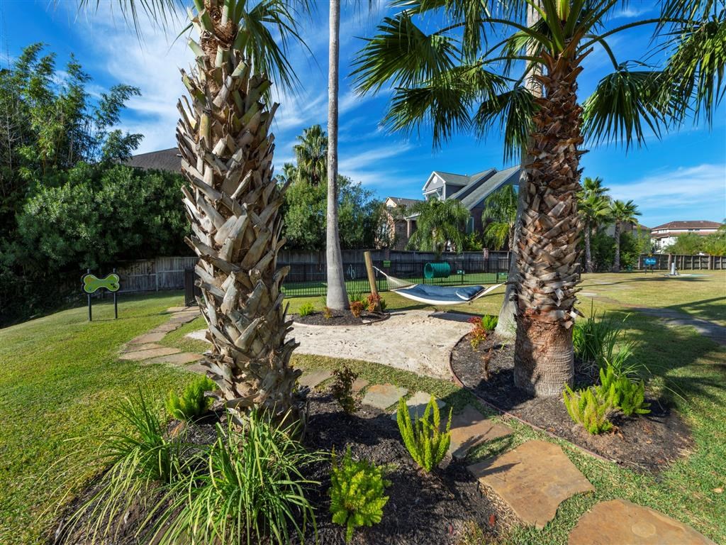 a backyard with palm trees and a hammock