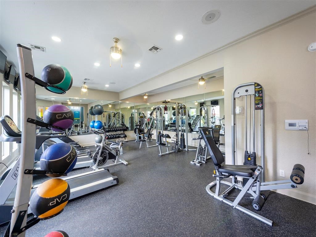 a gym with weights and cardio equipment in a home gym