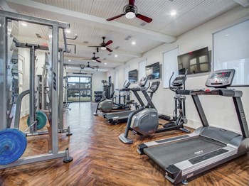 Rowlett, TX Apartments for Rent - Village of Rowlett Fitness Center with Elliptical, Treadmill, and More - Photo Gallery 9