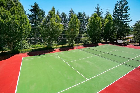 A tennis court with red and green surface surrounded by trees.