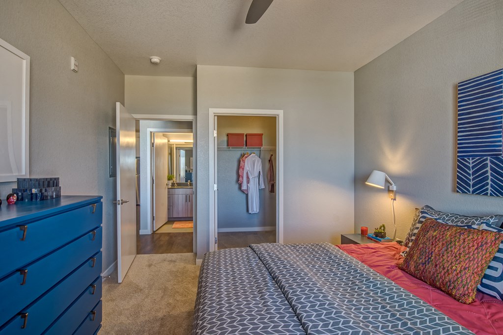 a bedroom with a bed and a dresser and a closet