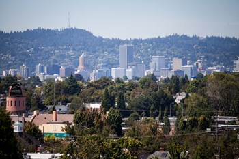 2025 NE 44th Avenue Studio-2 Beds Apartment for Rent - Photo Gallery 4