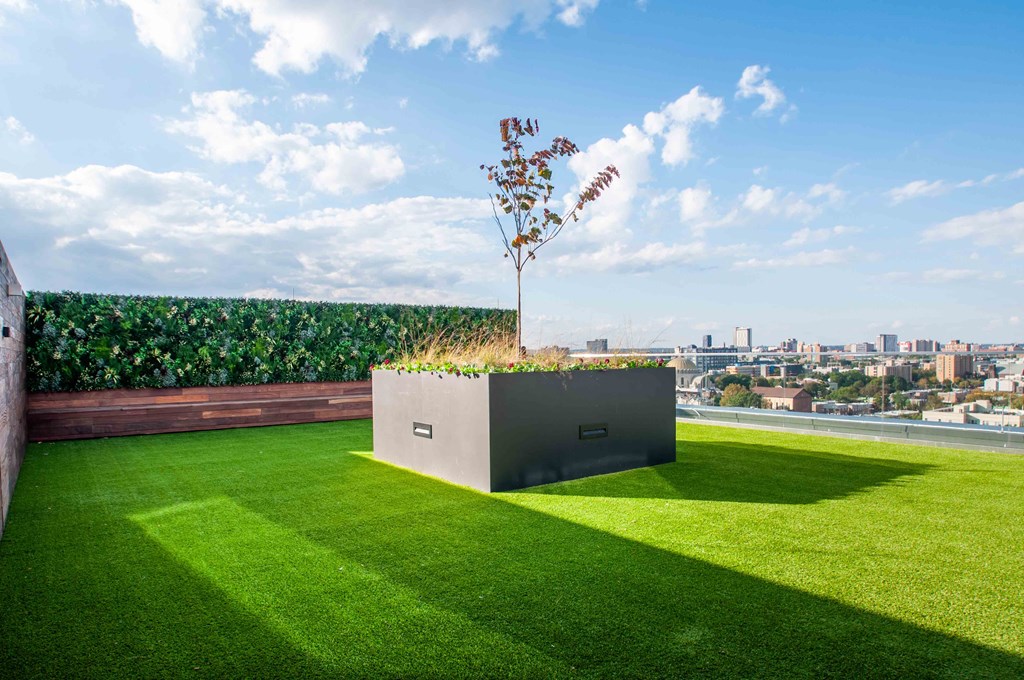 a lawn on the roof of a building with grass