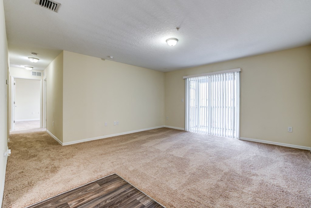 Open living room with large windows and sliding glass door at The Commons, a pet-friendly community in Tampa, FL, near Temple Terrace.